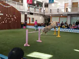 ノーザンホースパークに投稿された画像（2026/5/1）