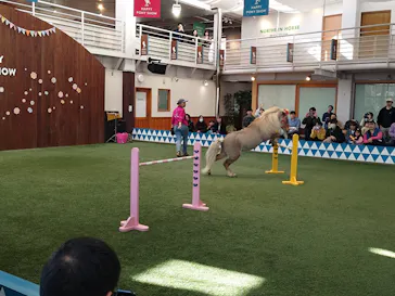 ノーザンホースパークに投稿された画像（2026/5/1）