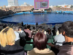 名古屋港水族館に投稿された画像（2026/5/1）