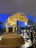 福井県立恐竜博物館に投稿された画像（2026/5/1）