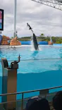 アドベンチャーワールドに投稿された画像（2026/5/1）