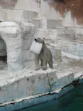 天王寺動物園に投稿された画像（2026/5/1）