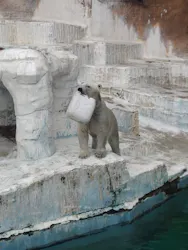 天王寺動物園に投稿された画像（2026/5/1）