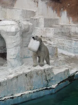 天王寺動物園に投稿された画像（2026/5/1）