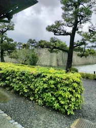 元離宮二条城に投稿された画像（2026/5/1）