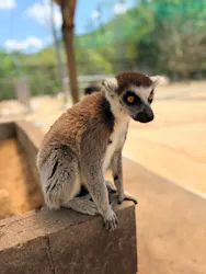 しろとり動物園に投稿された画像（2026/5/1）