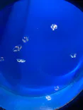 新江ノ島水族館に投稿された画像（2026/5/1）