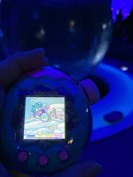 新江ノ島水族館に投稿された画像（2026/5/1）