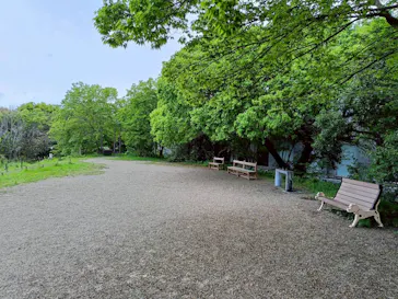 滋賀県立琵琶湖博物館に投稿された画像（2026/5/1）