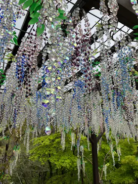 箱根ガラスの森美術館に投稿された画像（2026/5/1）
