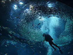 アクアワールド茨城県大洗水族館に投稿された画像（2026/5/1）