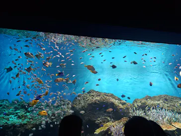 アクアワールド茨城県大洗水族館に投稿された画像（2026/5/1）