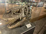 福井県立恐竜博物館に投稿された画像（2026/5/1）