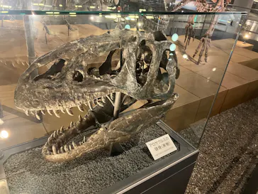 福井県立恐竜博物館に投稿された画像（2026/5/1）