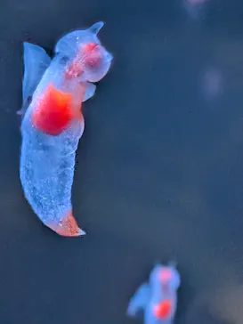 仙台うみの杜水族館に投稿された画像（2026/5/1）