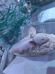 ひらかたパークに投稿された画像（2026/5/1）