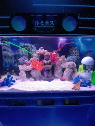 ひらかたパークに投稿された画像（2026/5/1）