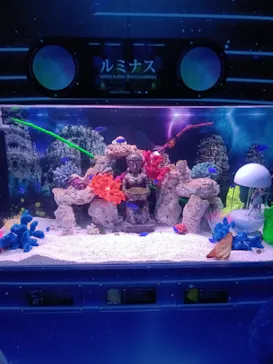 ひらかたパークに投稿された画像（2026/5/1）