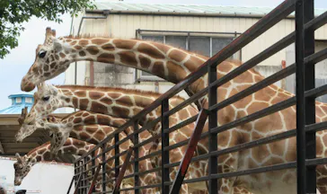 宇都宮動物園に投稿された画像（2026/5/1）