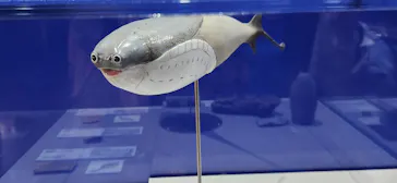 大絶滅展ー生命史のビッグファイブ（名古屋会場）に投稿された画像（2026/5/1）