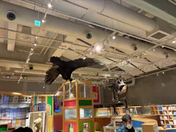 国立科学博物館に投稿された画像（2026/5/1）