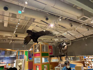 国立科学博物館に投稿された画像（2026/5/1）