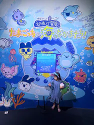 新江ノ島水族館に投稿された画像（2026/5/1）