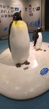 名古屋港水族館に投稿された画像（2026/5/1）