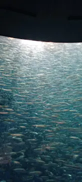 名古屋港水族館に投稿された画像（2026/5/1）