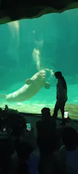 名古屋港水族館に投稿された画像（2026/5/1）