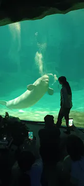 名古屋港水族館に投稿された画像（2026/5/1）