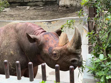 恩賜上野動物園に投稿された画像（2026/5/1）