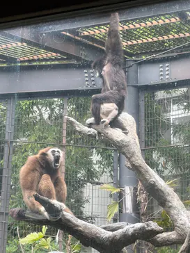 恩賜上野動物園に投稿された画像（2026/5/1）