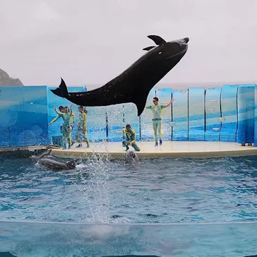 新江ノ島水族館に投稿された画像（2026/5/1）