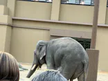天王寺動物園に投稿された画像（2026/5/2）