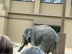 天王寺動物園に投稿された画像（2026/5/1）