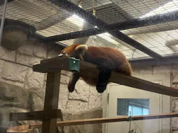 天王寺動物園に投稿された画像（2026/5/1）