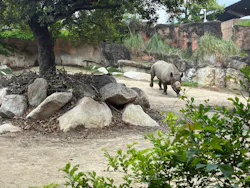 天王寺動物園に投稿された画像（2026/5/1）