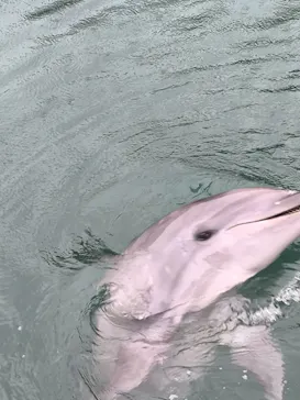 下田海中水族館に投稿された画像（2026/5/2）
