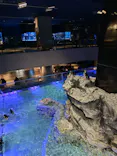 すみだ水族館に投稿された画像（2026/5/2）