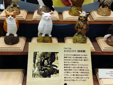にゃんこ博覧会2026に投稿された画像（2026/5/2）