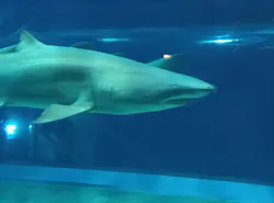 アクアワールド茨城県大洗水族館に投稿された画像（2026/5/2）