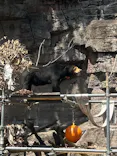 天王寺動物園に投稿された画像（2026/5/2）