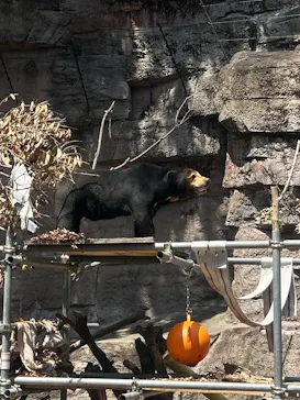 天王寺動物園に投稿された画像（2026/5/2）