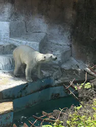 天王寺動物園に投稿された画像（2026/5/2）