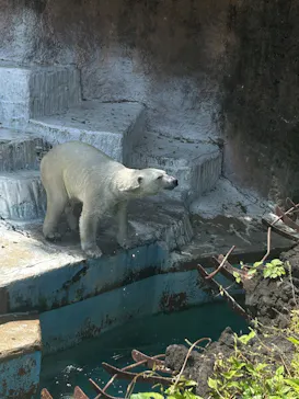 天王寺動物園に投稿された画像（2026/5/2）