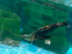 天王寺動物園に投稿された画像（2026/5/2）