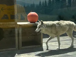 天王寺動物園に投稿された画像（2026/5/2）