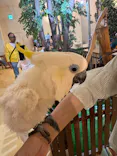 Moff animal cafe イオンモール幕張新都心店に投稿された画像（2026/5/2）
