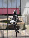 広島市安佐動物公園に投稿された画像（2026/5/2）